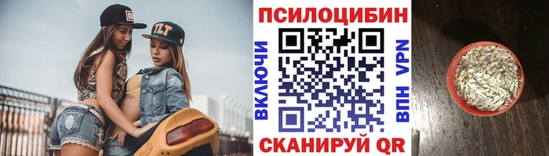 Галлюциногенные грибы Magic Shrooms  KRAKEN вход  Тында 